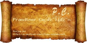 Prandtner Cecílián névjegykártya